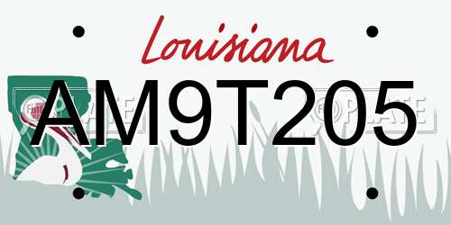 AM9T205 Louisiana License Plate