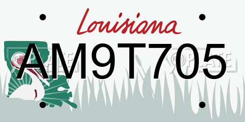 AM9T705 Louisiana License Plate