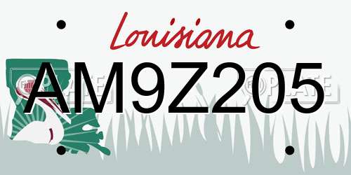AM9Z205 Louisiana License Plate