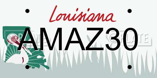AMAZ30 Louisiana License Plate