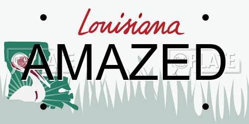 AMAZED Louisiana License Plate