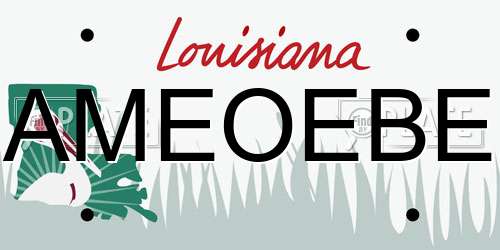 AMEOEBE Louisiana License Plate