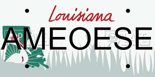 AMEOESE Louisiana License Plate
