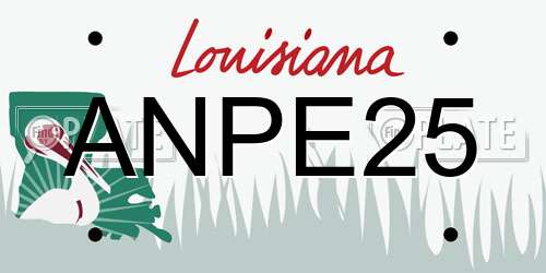 ANPE25 Louisiana License Plate