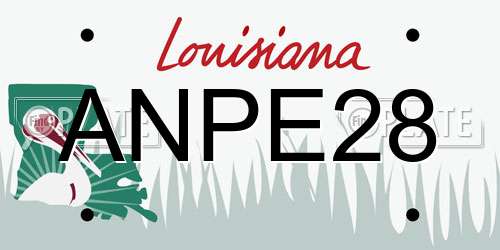 ANPE28 Louisiana License Plate