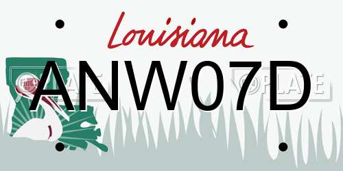 ANW07D Louisiana License Plate
