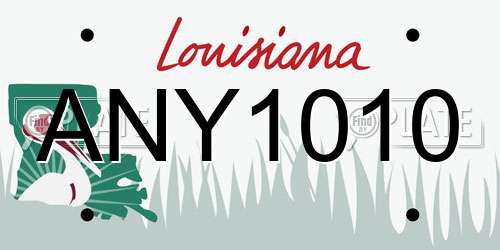 ANY1010 Louisiana License Plate