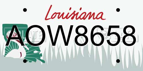 AOW8658 Louisiana License Plate