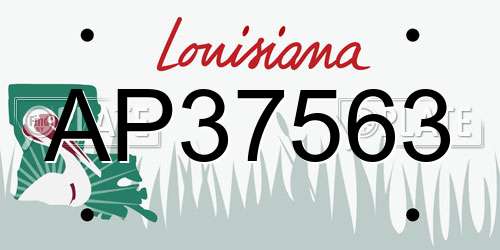 AP37563 Louisiana License Plate