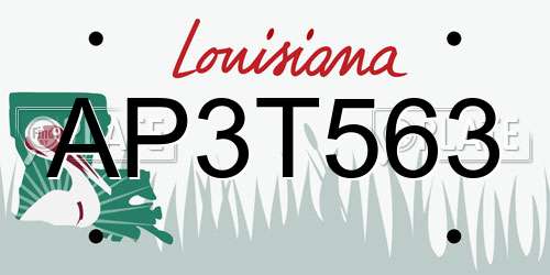 AP3T563 Louisiana License Plate