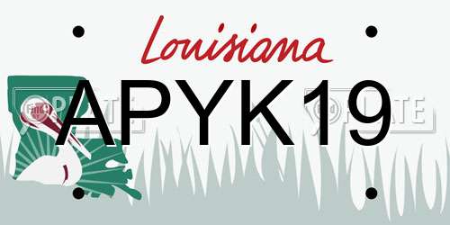 APYK19 Louisiana License Plate