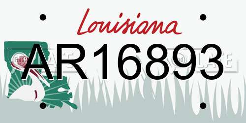 AR16893 Louisiana License Plate