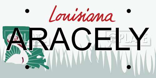 ARACELY Louisiana License Plate
