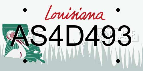 AS4D493 Louisiana License Plate