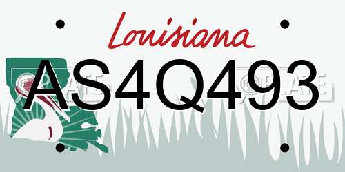 AS4Q493 Louisiana License Plate
