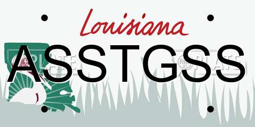 ASSTGSS Louisiana License Plate
