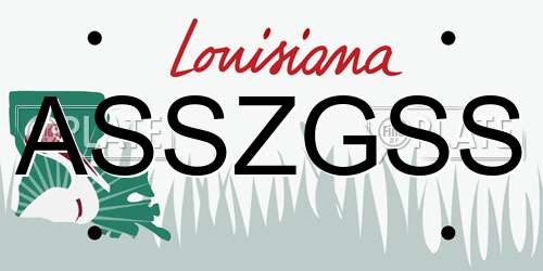 ASSZGSS Louisiana License Plate