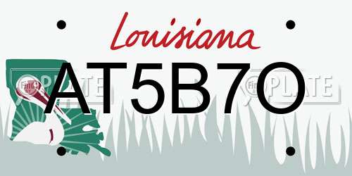 AT5B7O Louisiana License Plate