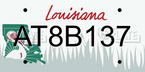 AT8B137 Louisiana License Plate