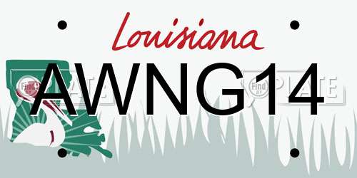 AWNG14 Louisiana License Plate