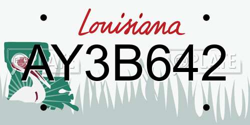 AY3B642 Louisiana License Plate