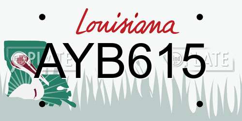 AYB615 Louisiana License Plate