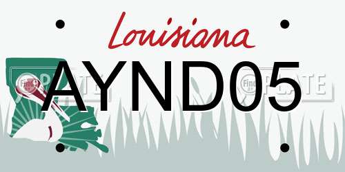AYND05 Louisiana License Plate