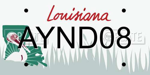 AYND08 Louisiana License Plate
