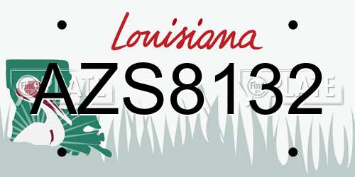 AZS8132 Louisiana License Plate