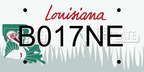 B017NE Louisiana License Plate