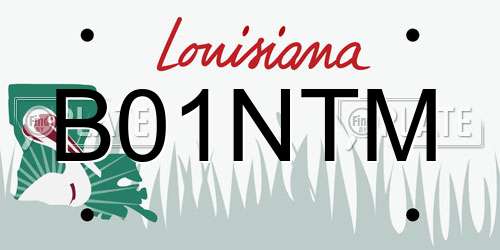 B01NTM Louisiana License Plate