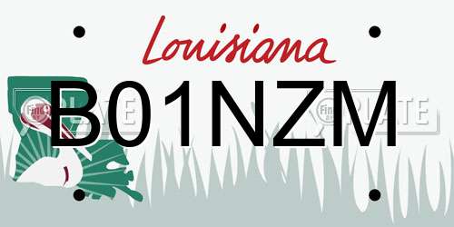 B01NZM Louisiana License Plate
