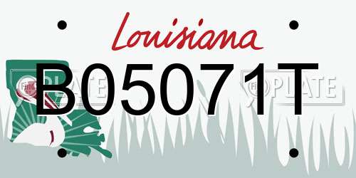 B05071T Louisiana License Plate