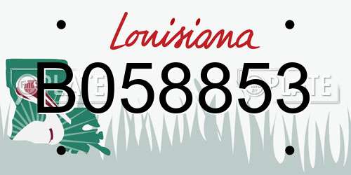 B058853 Louisiana License Plate