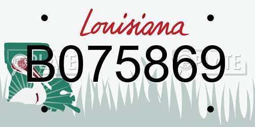 B075869 Louisiana License Plate