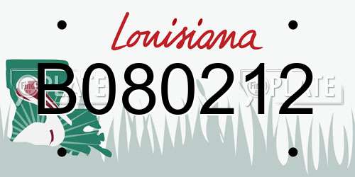 B080212 Louisiana License Plate