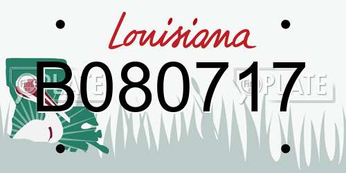 B080717 Louisiana License Plate