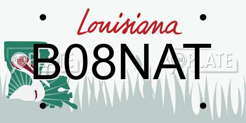 B08NAT Louisiana License Plate