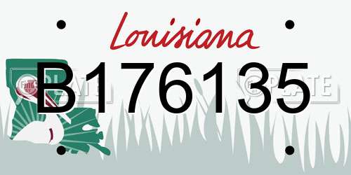 B176135 Louisiana License Plate