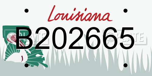 B202665 Louisiana License Plate