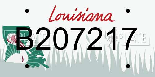 B207217 Louisiana License Plate
