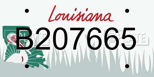 B207665 Louisiana License Plate