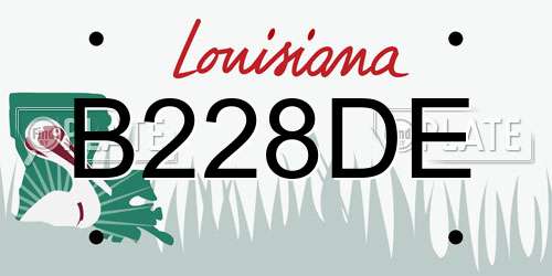 B228DE Louisiana License Plate