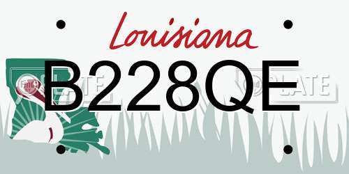 B228QE Louisiana License Plate