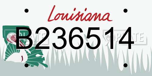 B236514 Louisiana License Plate