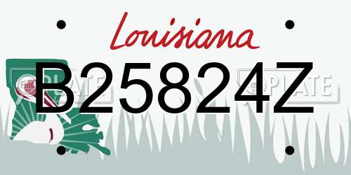 B25824Z Louisiana License Plate