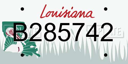 B285742 Louisiana License Plate