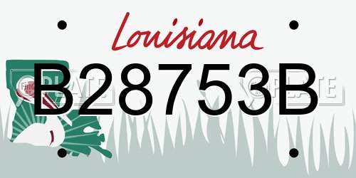 B28753B Louisiana License Plate
