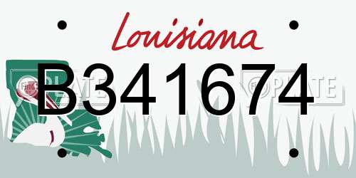 B341674 Louisiana License Plate