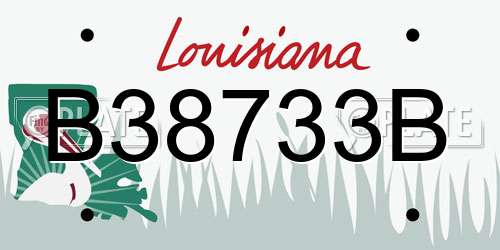 B38733B Louisiana License Plate